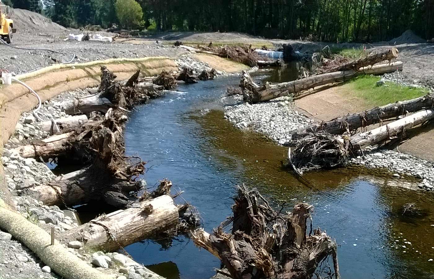 Bear Creek Stream Rehabilitation