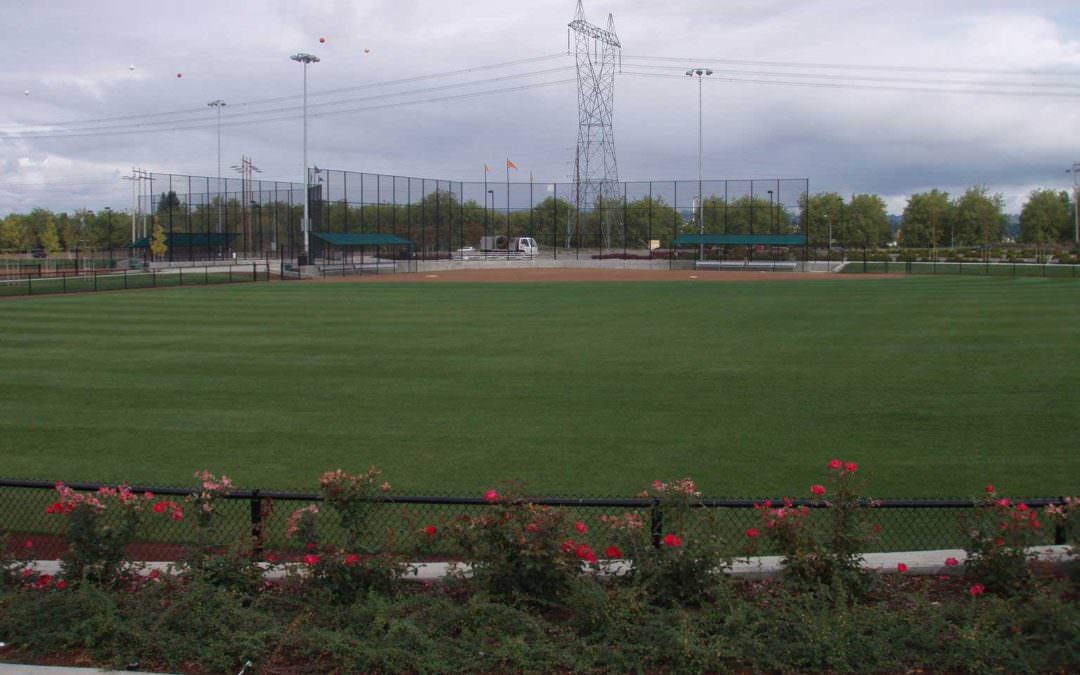 Gordon Faber Ball Field Development