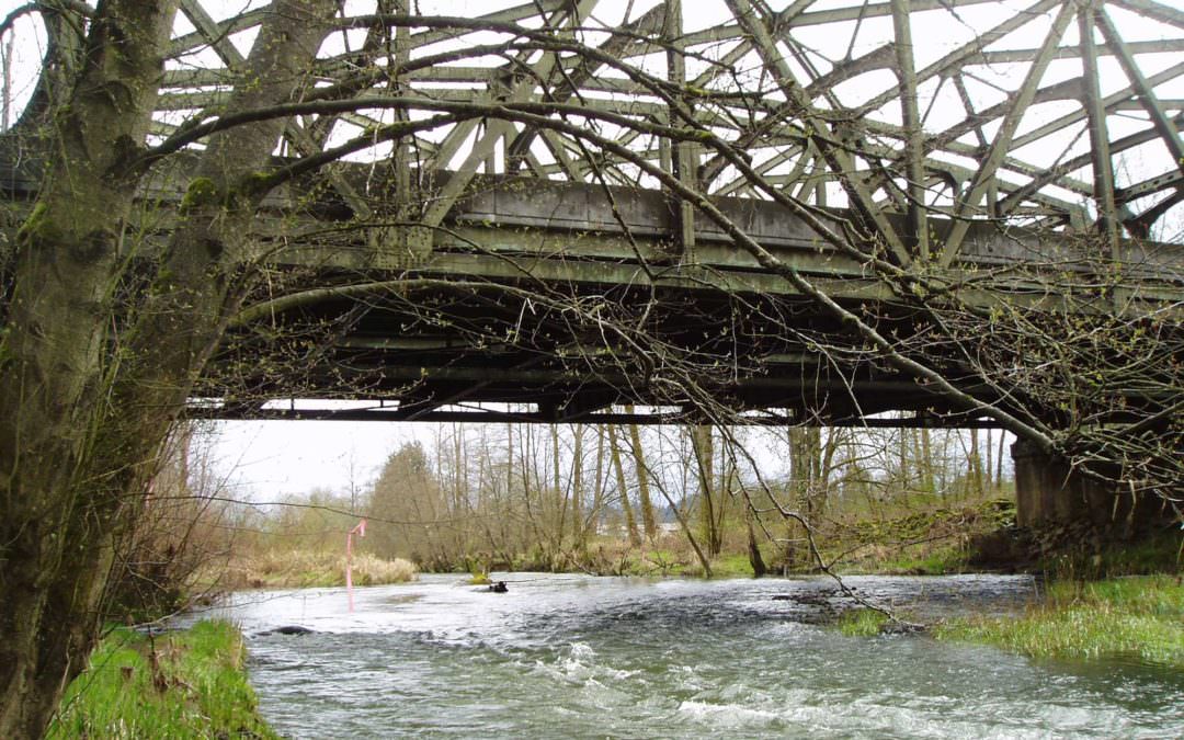 I-5 Widening Environmental and Regulatory Compliance at Blakeslee Junction to Grand Mound