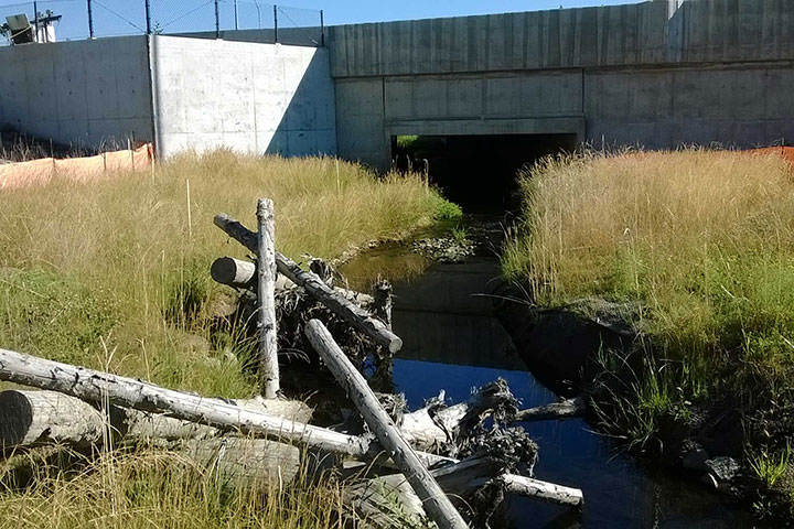 SR 520 Eastside Transit and HOV Fish Passage Improvements