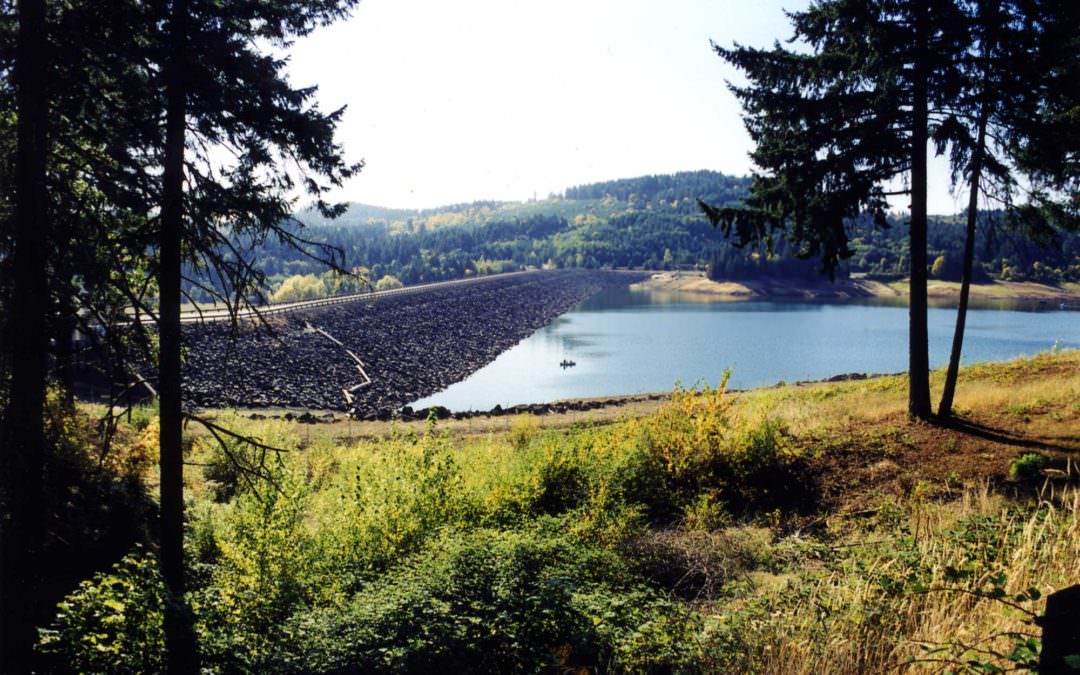 Tualatin Basin Water Supply Program Environmental Planning and Permitting