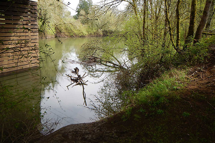 Willamette Water Supply Program Preliminary Design and Permitting