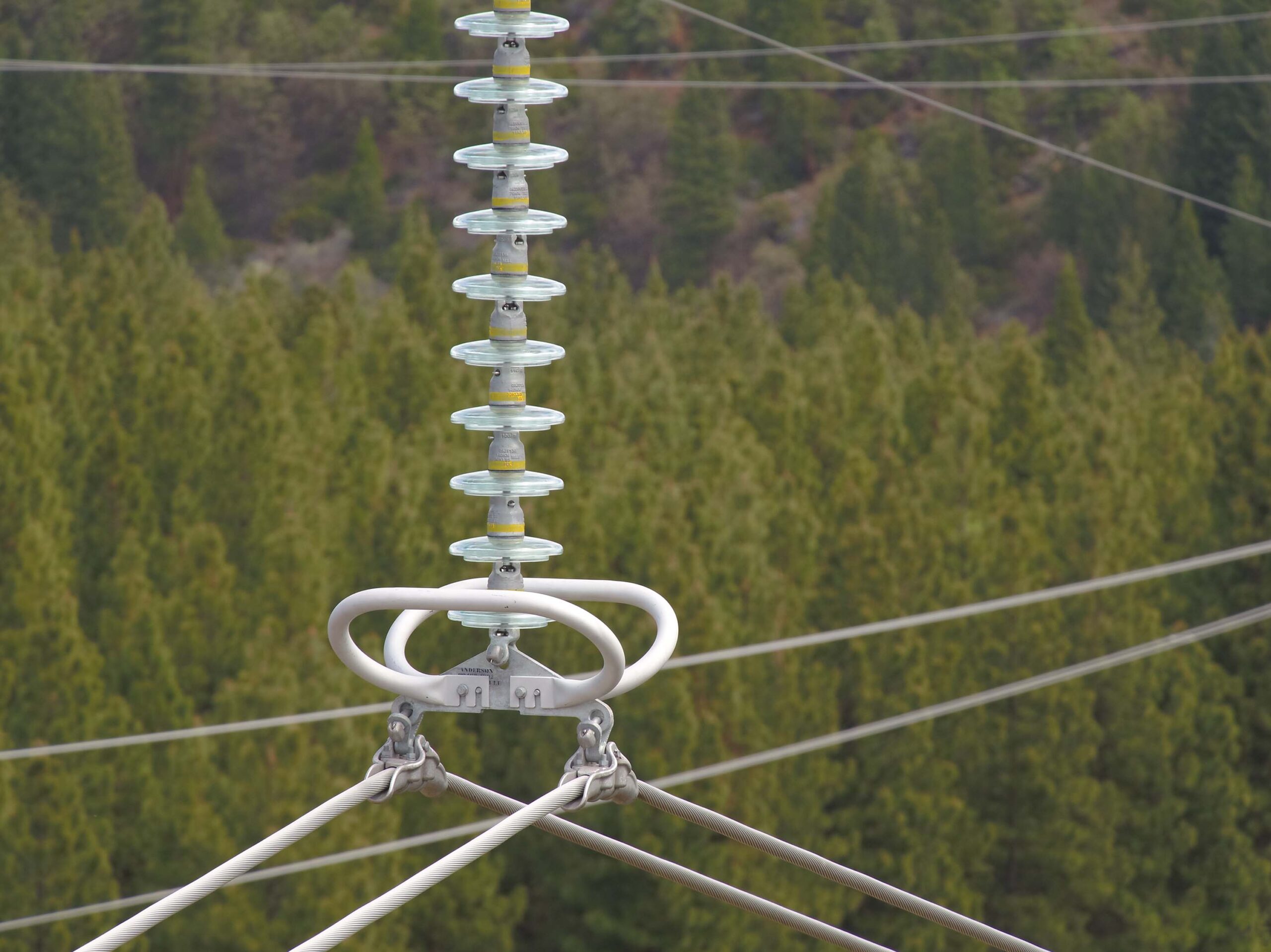 An up-close view of a power transmission line component.