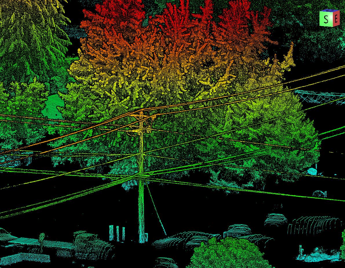A pointcloud image of a tree.